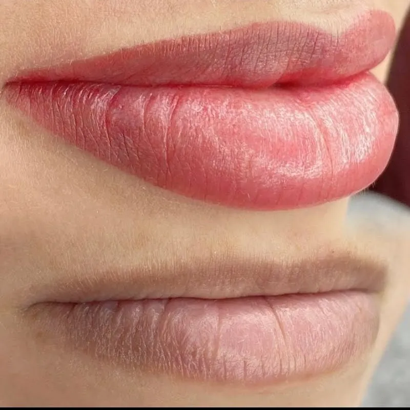 Micropigmentação labial finalizada no Studio Harrod's